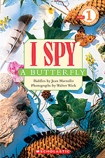 I SPY a Butterfly