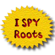I SPY books